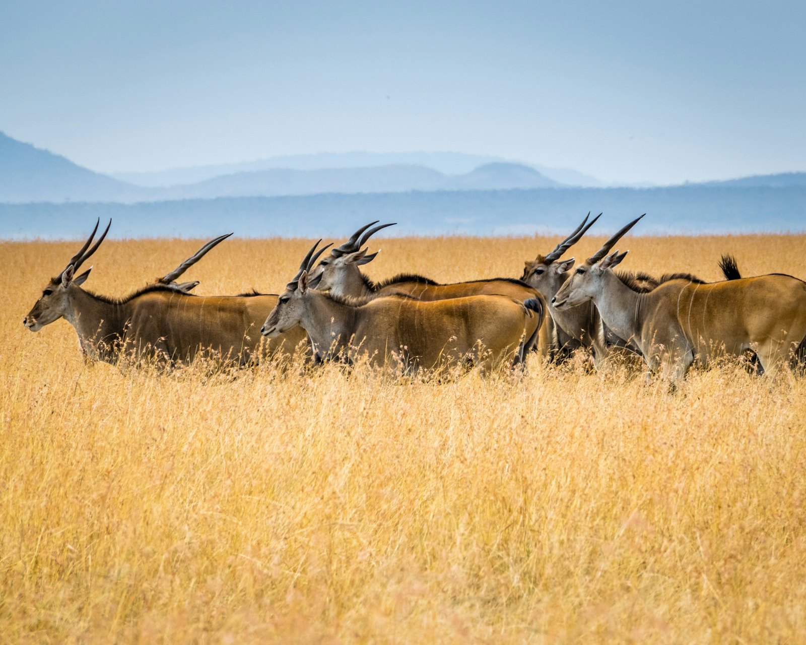 Terres rares : l’Afrique centrale face à la seconde ruée